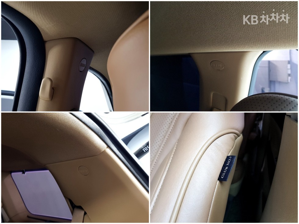 2019 - kia carnival