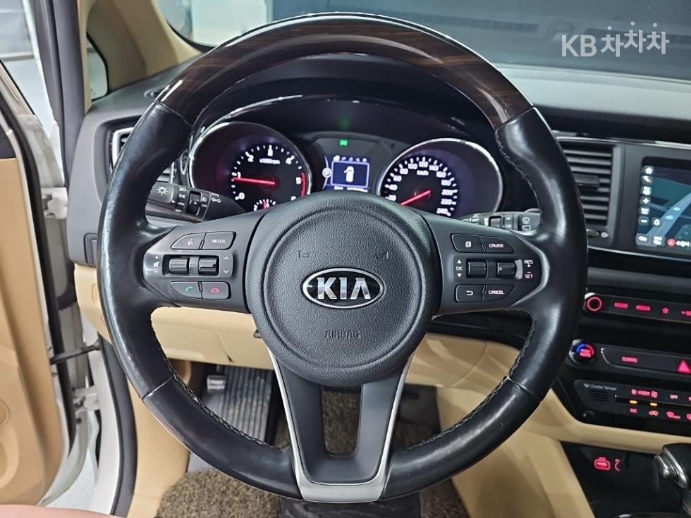 2018 - kia carnival