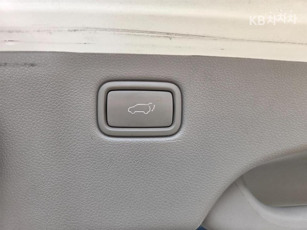2017 - kia carnival