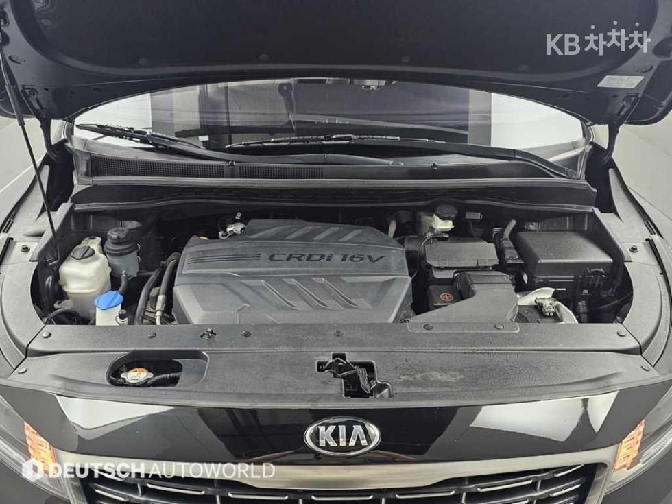 2019 - kia carnival