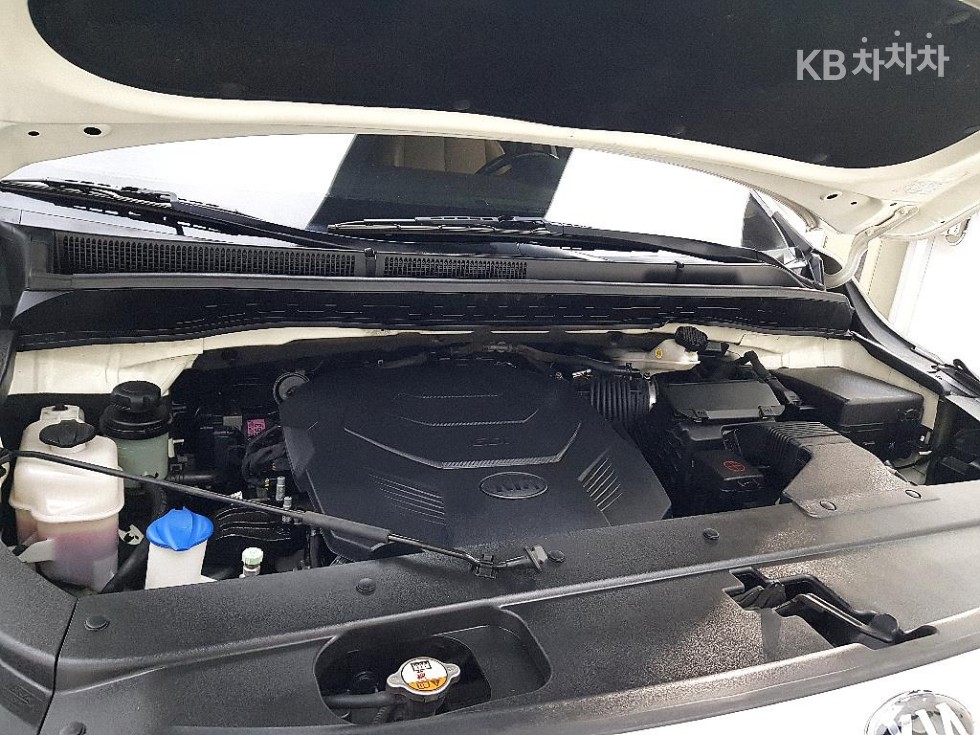 2019 - kia carnival
