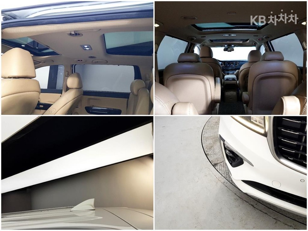 2019 - kia carnival