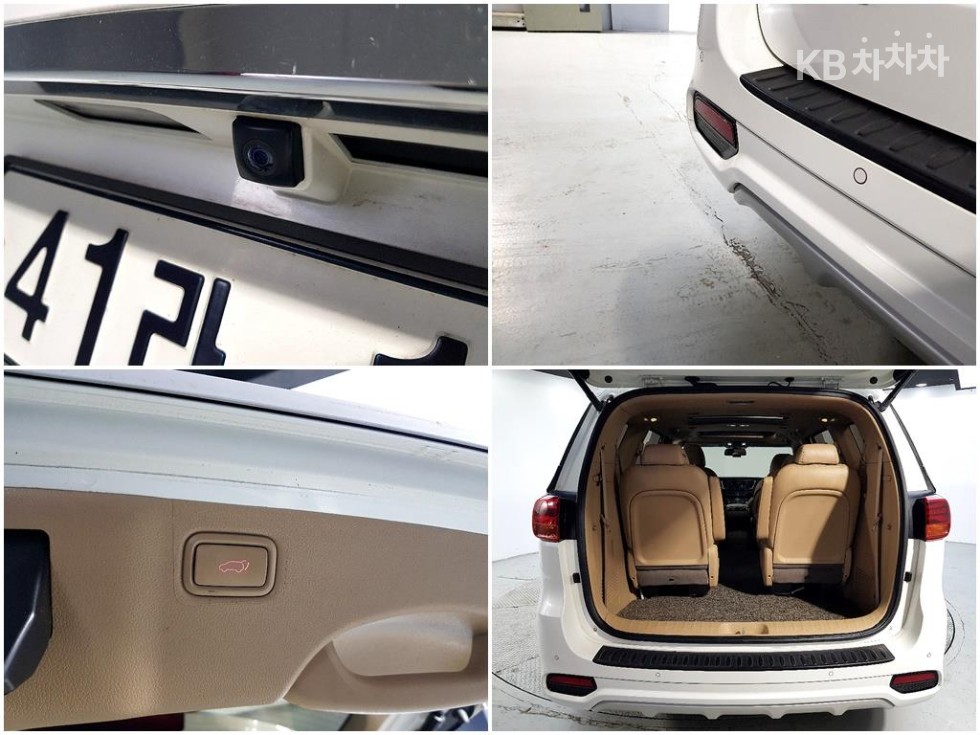 2019 - kia carnival