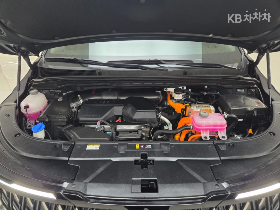 Kia Carnival — miniaturë 6
