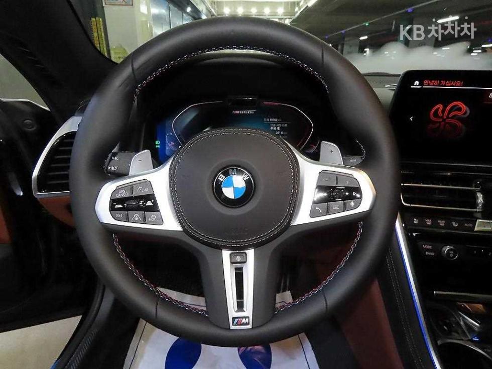 2024 BMW BMW 8 (G15) photo