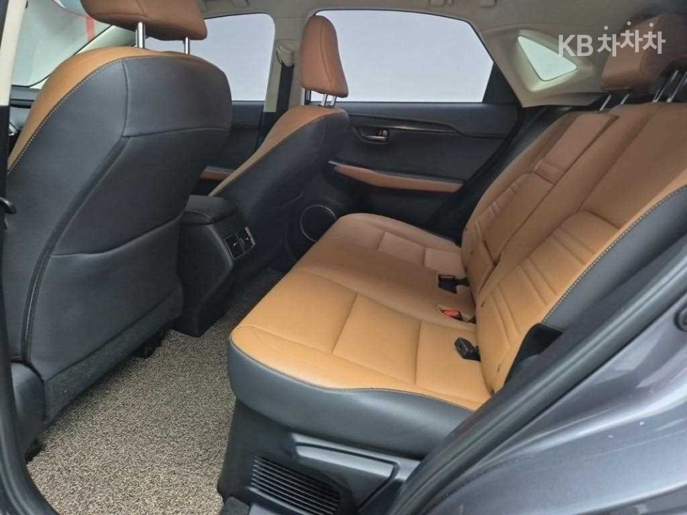 Lexus NX — miniaturë 12