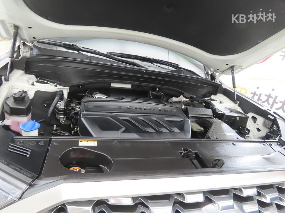 Hyundai Palisade — miniaturë 19