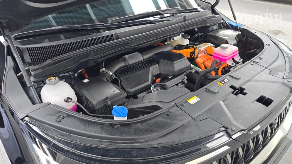 Kia Carnival — miniaturë 10