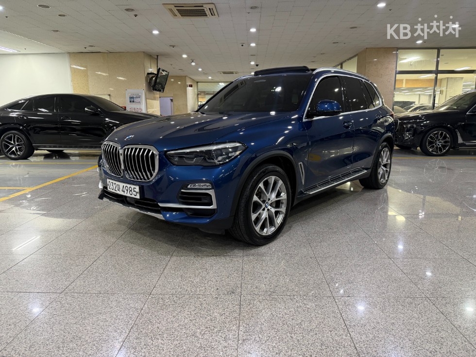 BMW X5 xLine — фото 1