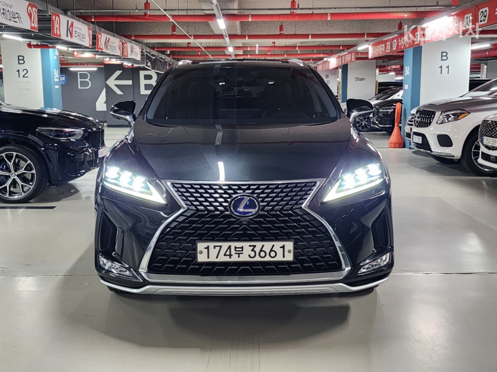 Lexus RX EXECUTIVE — фото 3