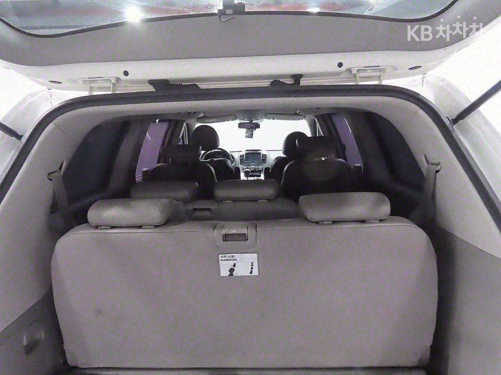 2013 - kia carnival