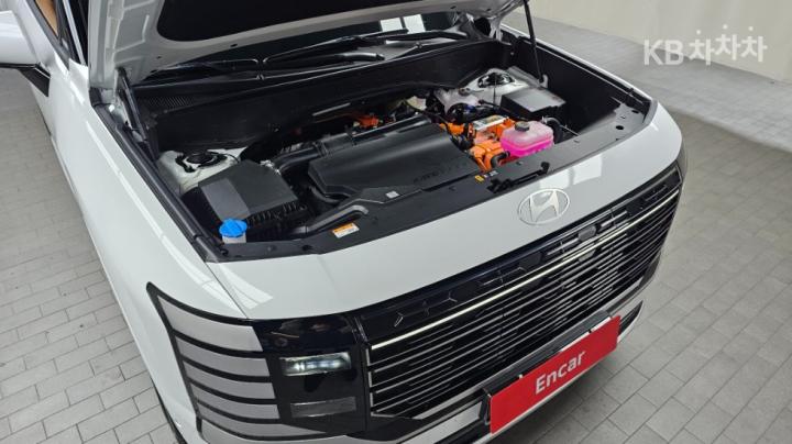 Hyundai Palisade The Hybrid 2.5 Gasoline Turbo 4WD Calligraphy 7