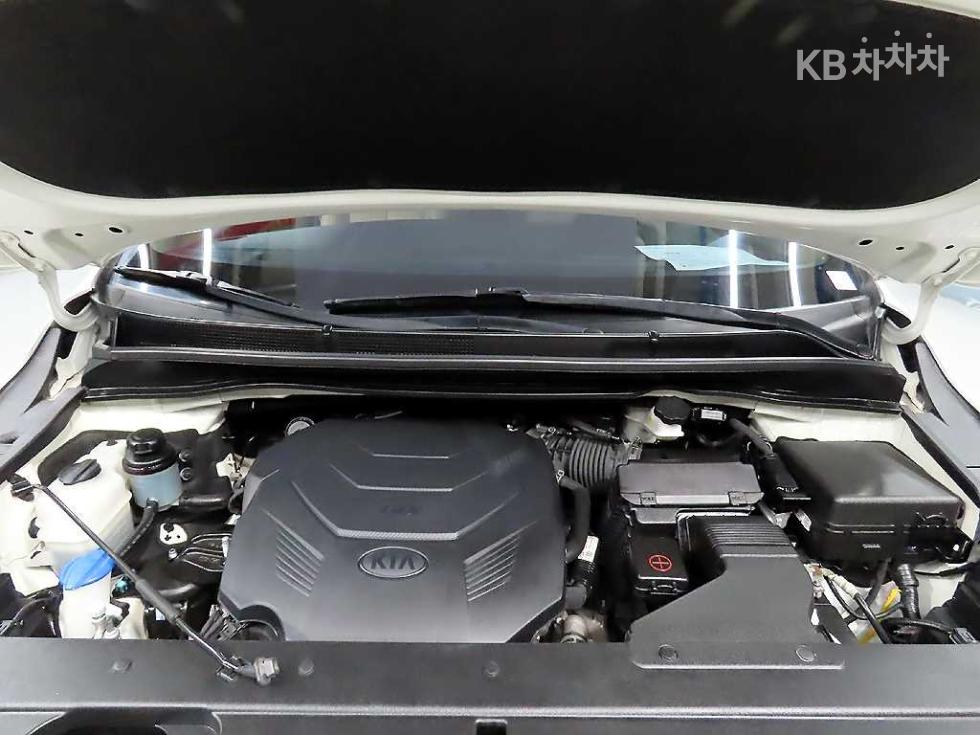 2019 - kia carnival