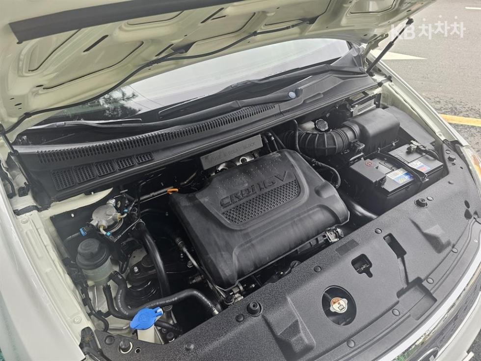 2013 - kia carnival
