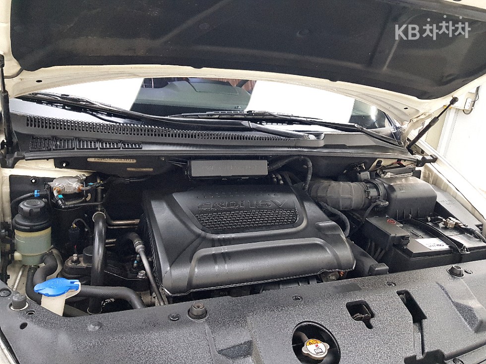 2013 - kia carnival