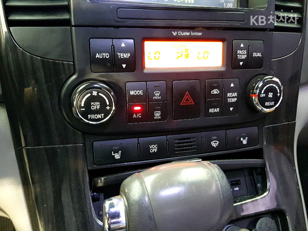 2013 - kia carnival