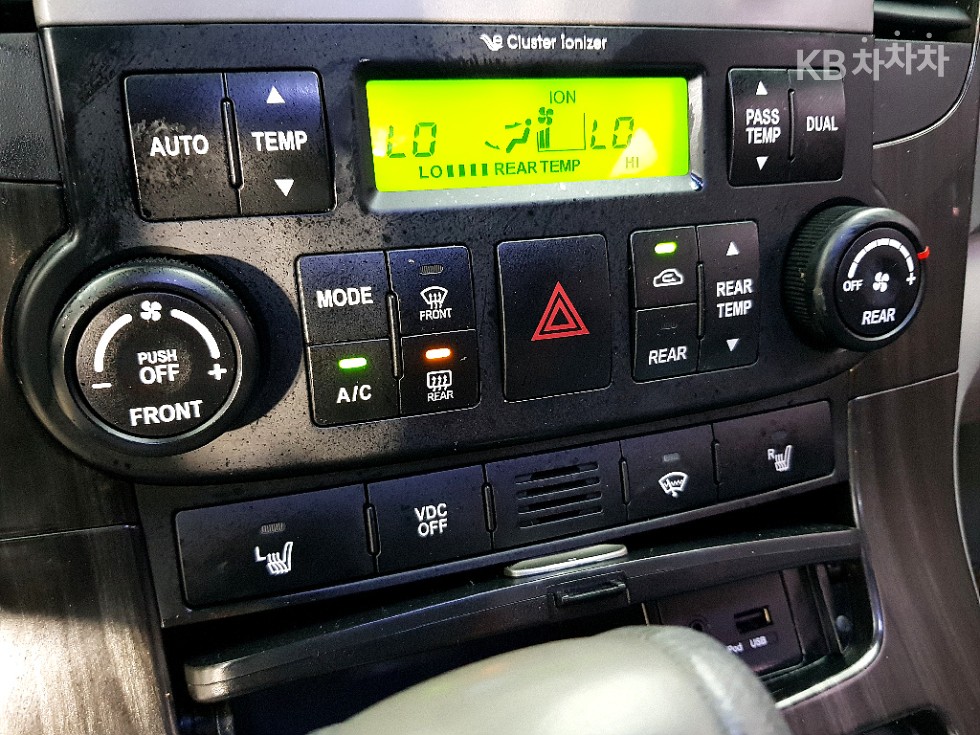 2013 - kia carnival