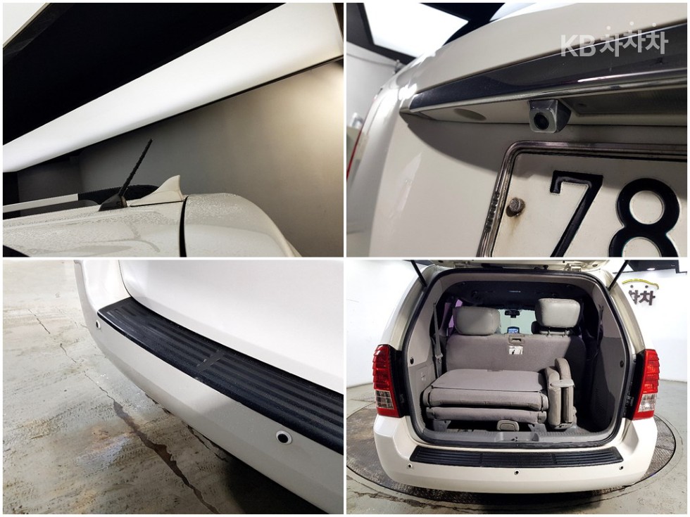 2013 - kia carnival