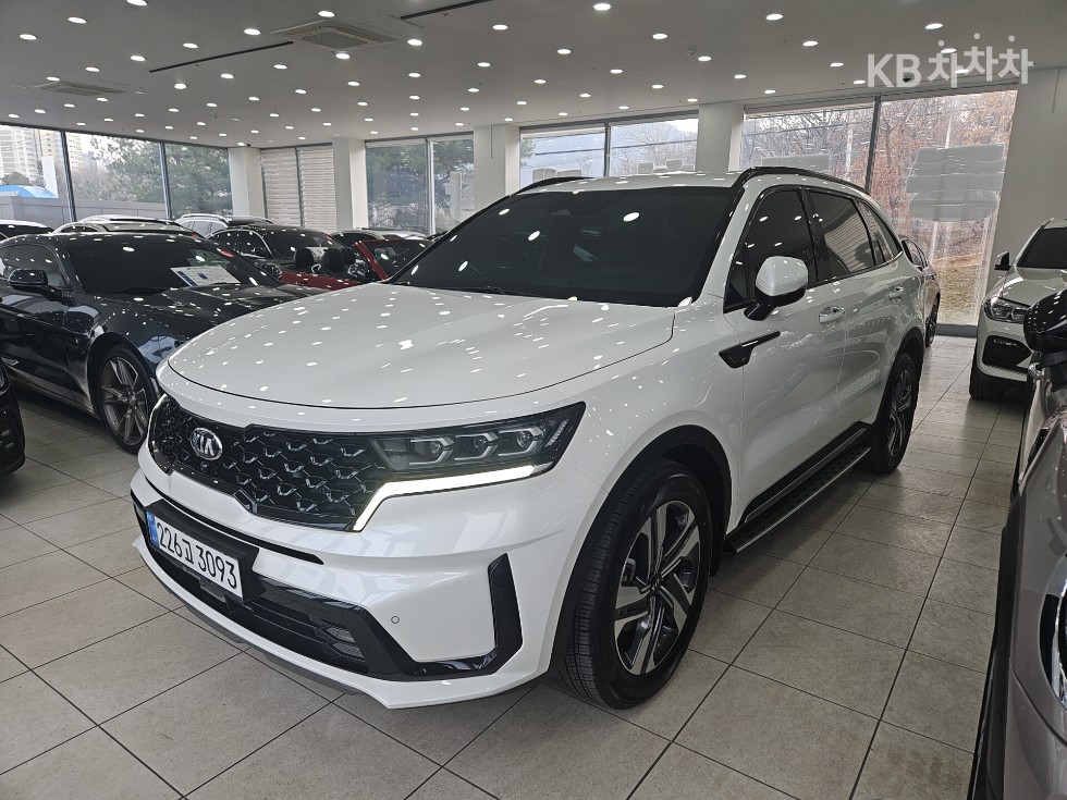 Kia 쏘렌토 4세대 하이브리드 1.6 HEV 그래비티 - фото 1