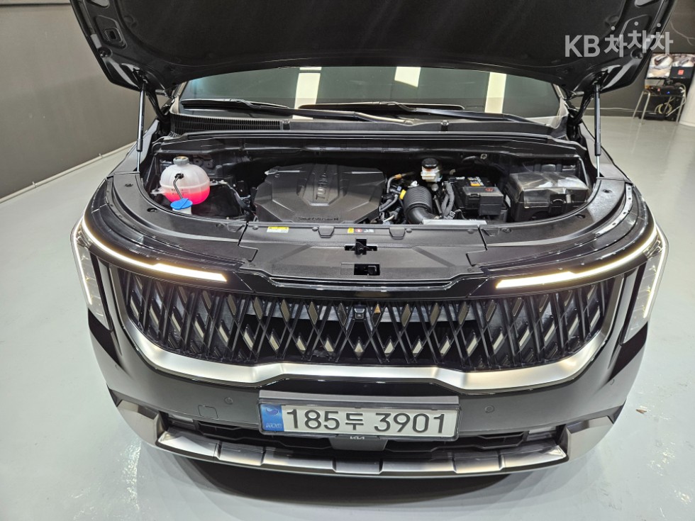 2025 - kia carnival
