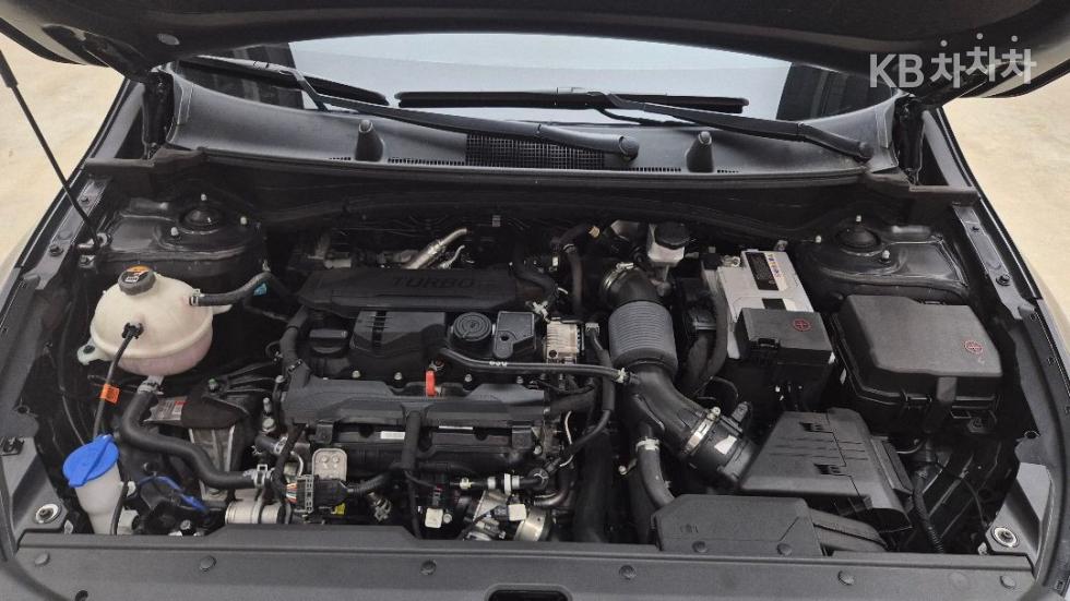 2023 - kia sportage