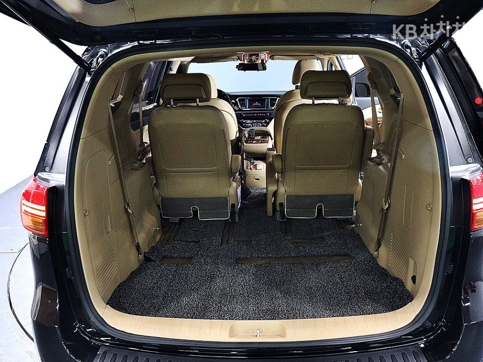 2017 - kia carnival