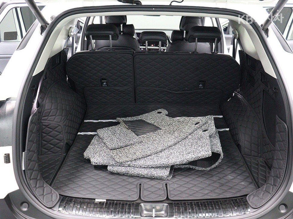 2024 - kia sportage