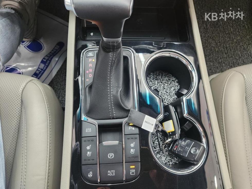 2019 - kia carnival