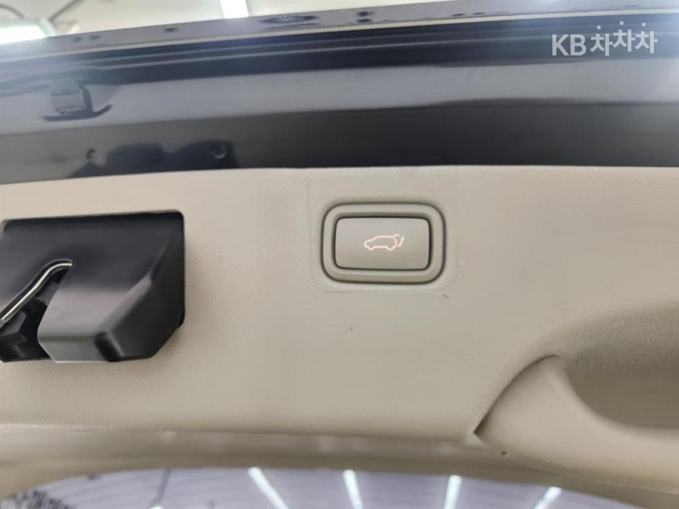 2019 - kia carnival
