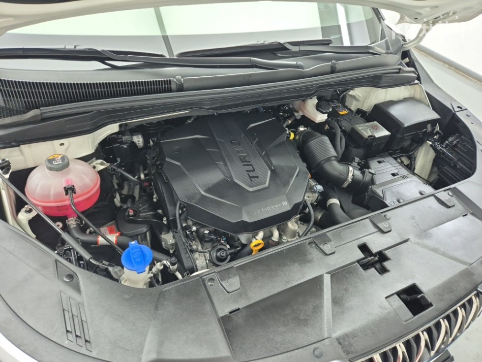 2021 - kia carnival