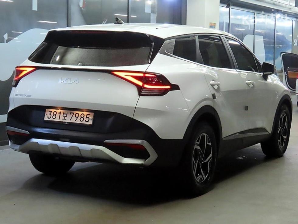 2024 - kia sportage