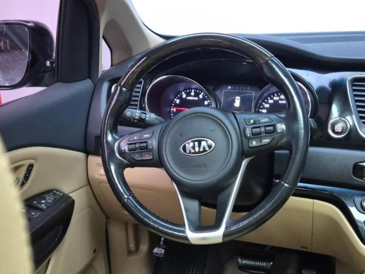 Kia Carnival 3.3 Gasoline Limousine President 10