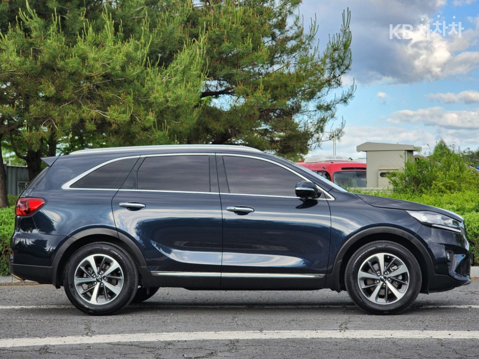 2019 - kia sorento