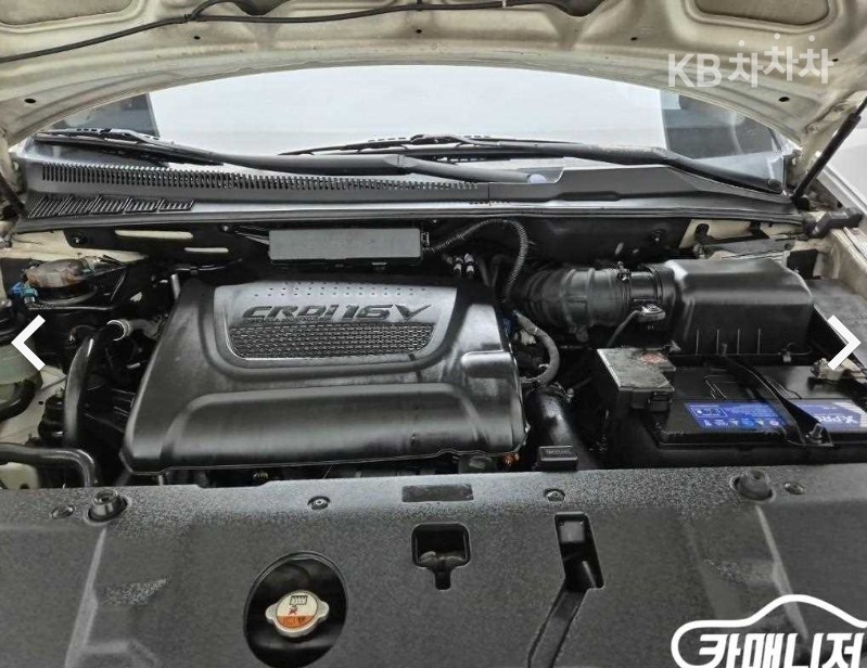 2013 - kia carnival