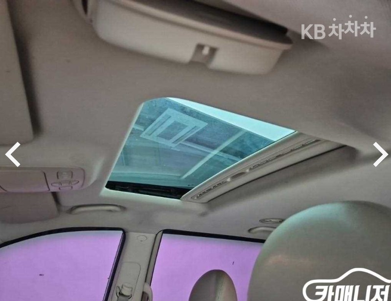 2013 - kia carnival