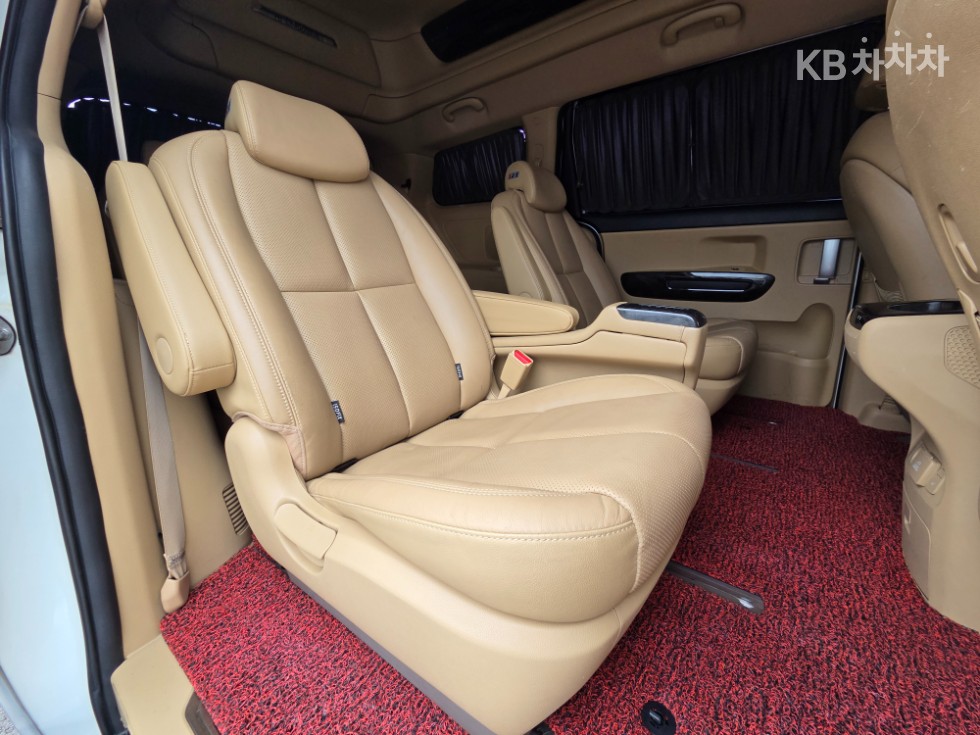 2019 - kia carnival