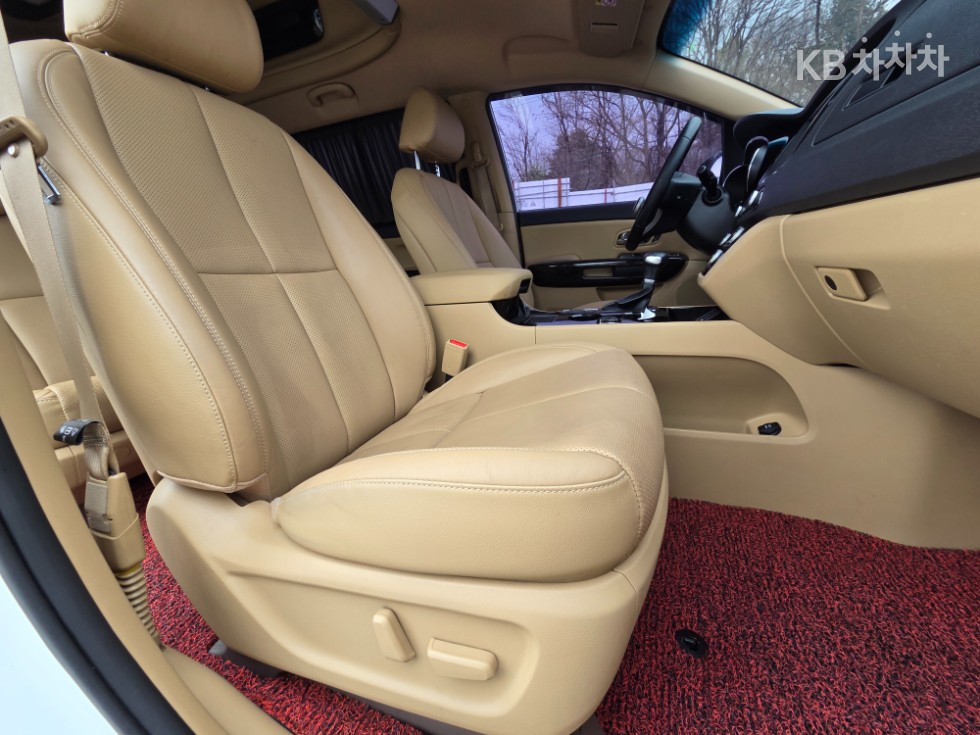 2019 - kia carnival