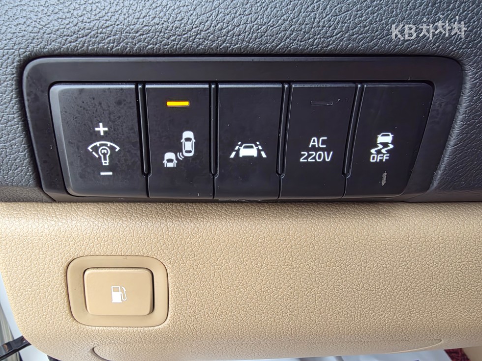 2019 - kia carnival