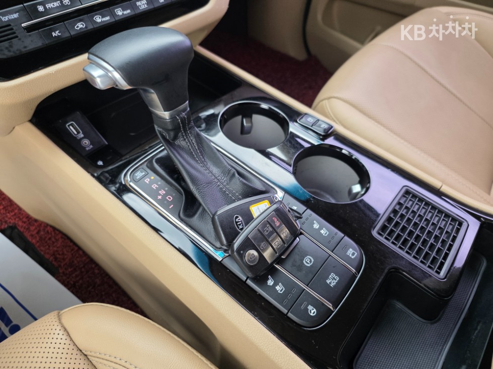 2019 - kia carnival
