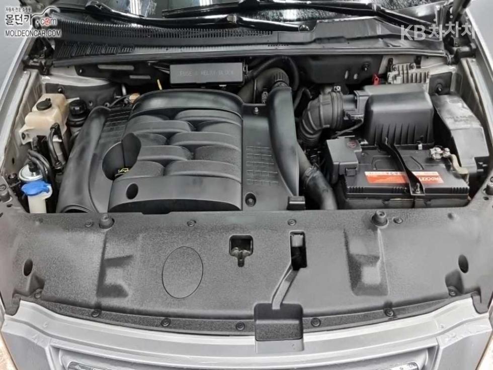 2009 - kia grand carnival
