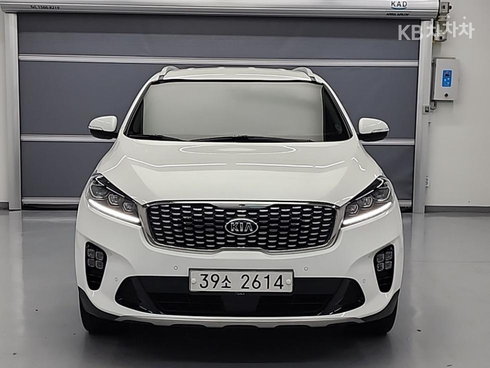 2019 - kia sorento