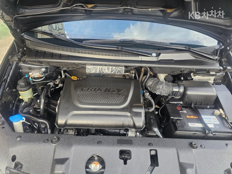 2013 - kia carnival