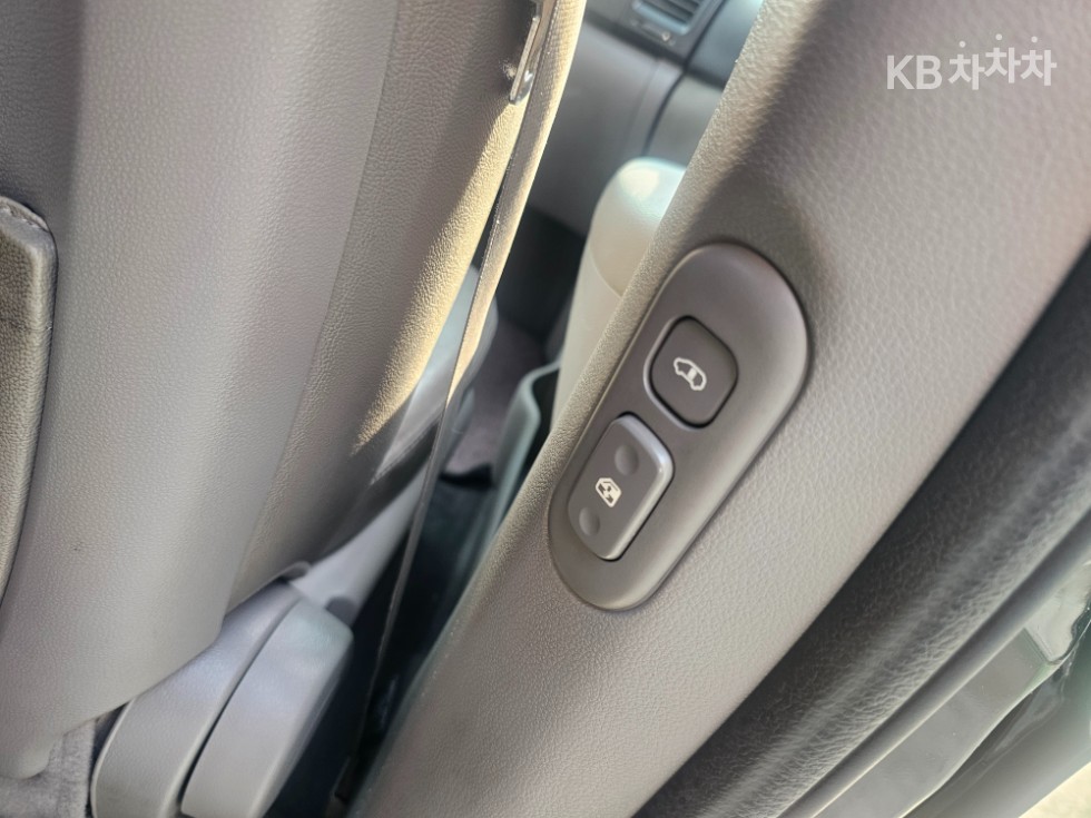 2013 - kia carnival