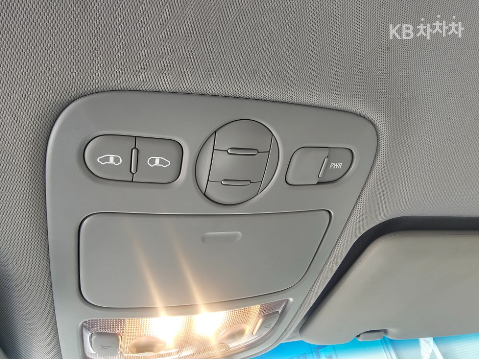 2013 - kia carnival