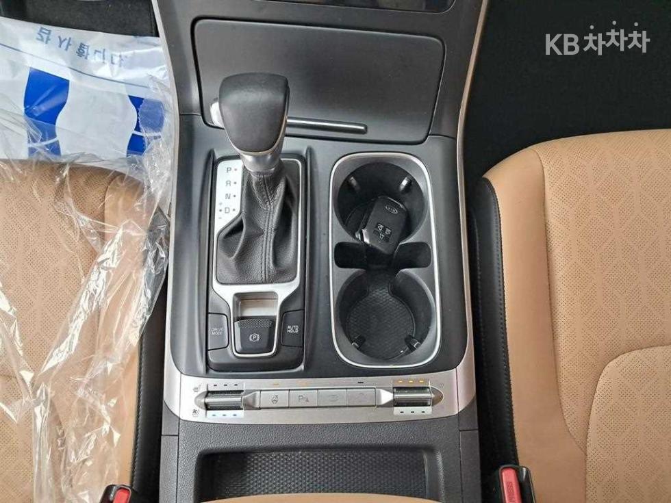 2021 - kia carnival