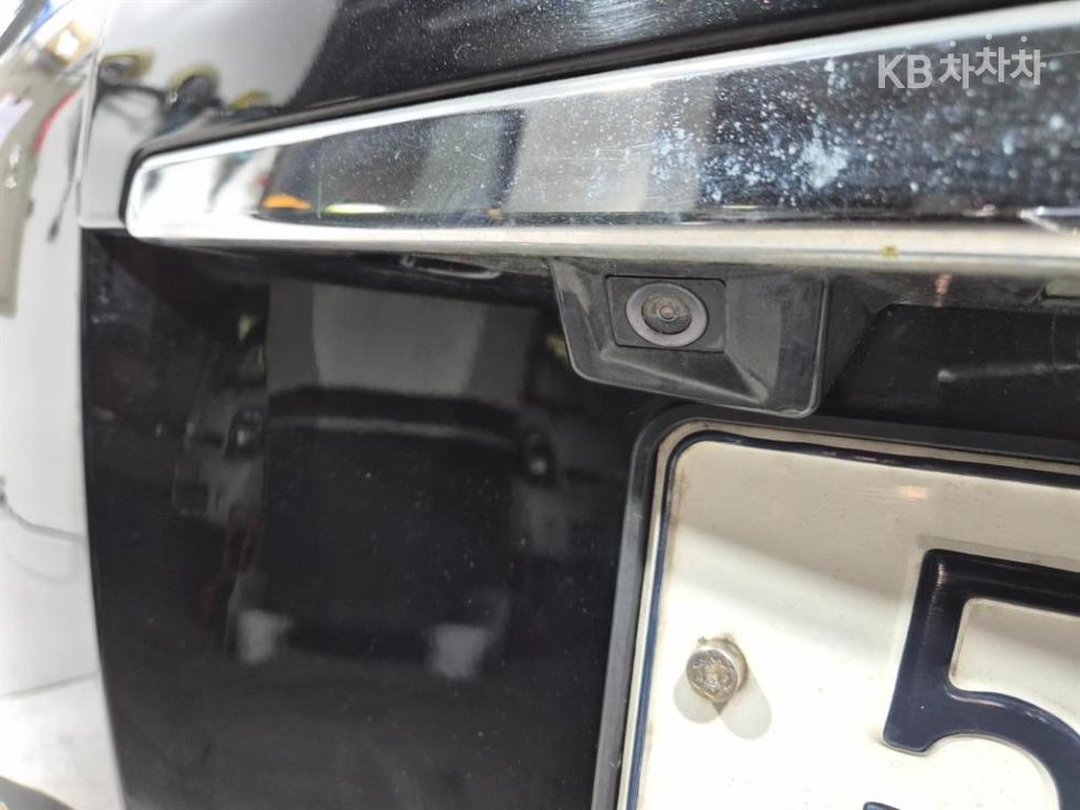 2013 - kia carnival