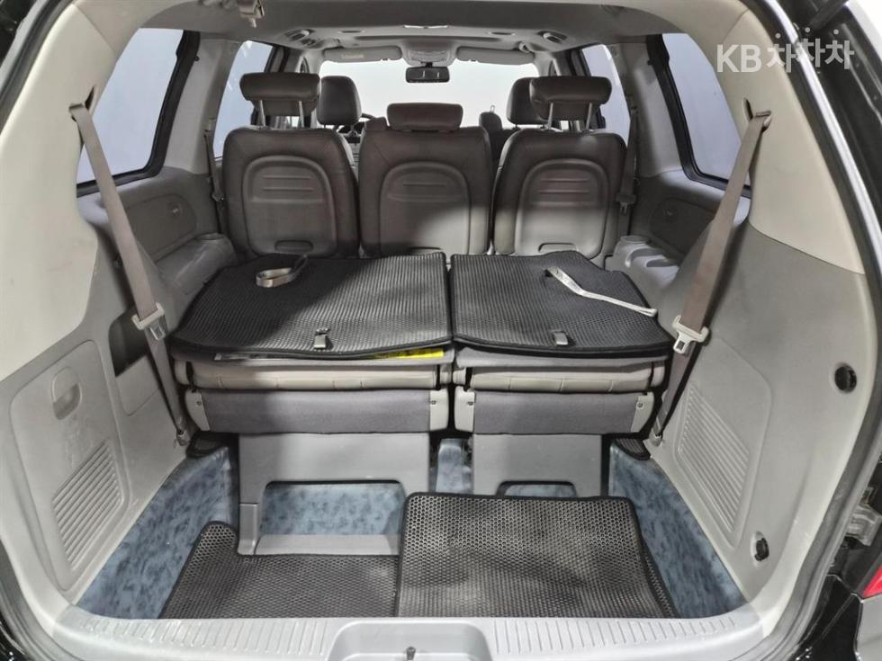 2013 - kia carnival