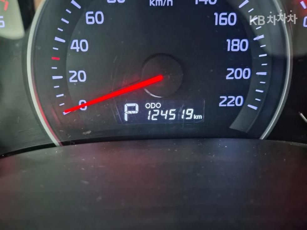 2013 - kia carnival