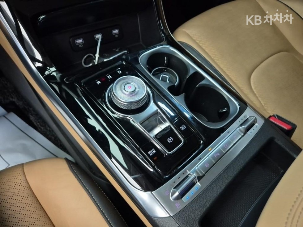 2021 - kia carnival