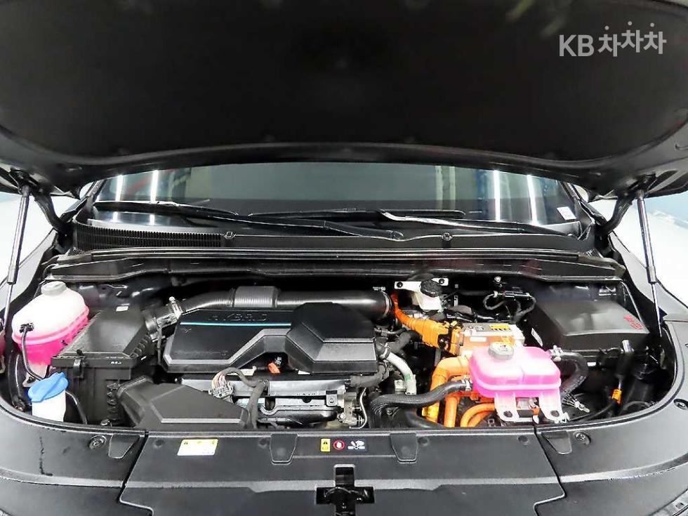 2024 - kia carnival